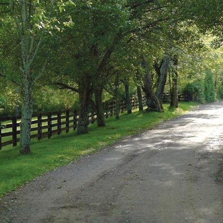 Appartamento Whimsical Gatehouse At Dark Horse Estate Franklin Esterno foto